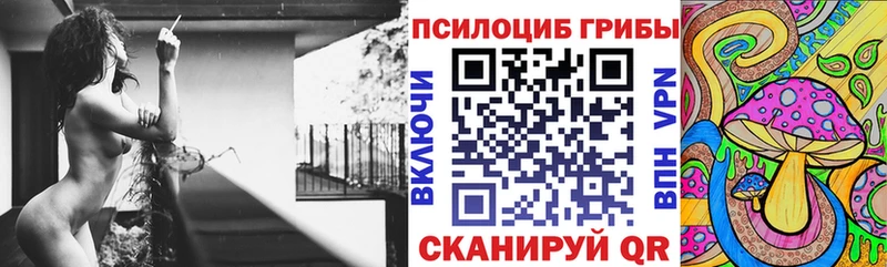 мега как зайти  Томари  Псилоцибиновые грибы ЛСД  закладки 
